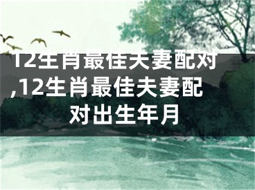 12生肖最佳夫妻配对,12生肖最佳夫妻配对出生年月