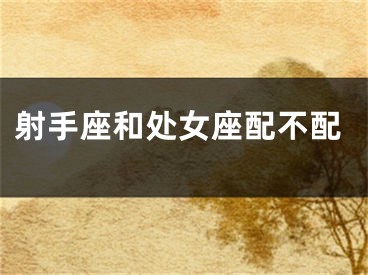 射手座和处女座配不配