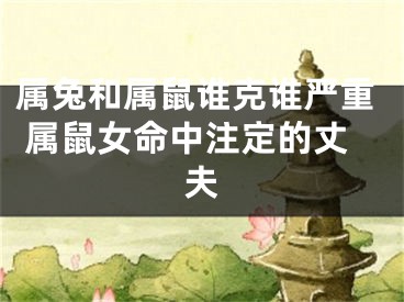 属兔和属鼠谁克谁严重 属鼠女命中注定的丈夫
