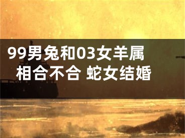 99男兔和03女羊属相合不合 蛇女结婚