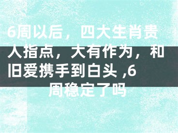 6周以后，四大生肖贵人指点，大有作为，和旧爱携手到白头 ,6周稳定了吗