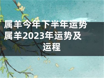 属羊今年下半年运势 属羊2023年运势及运程