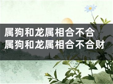 属狗和龙属相合不合 属狗和龙属相合不合财