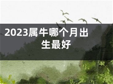 2023属牛哪个月出生最好