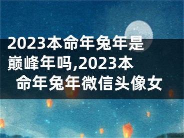 2023本命年兔年是巅峰年吗,2023本命年兔年微信头像女