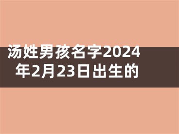 汤姓男孩名字2024年2月23日出生的