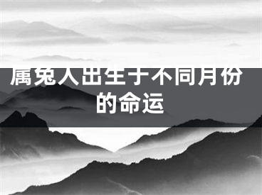 属兔人出生于不同月份的命运