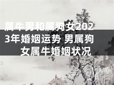 属牛男和属狗女2023年婚姻运势 男属狗女属牛婚姻状况