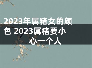 2023年属猪女的颜色 2023属猪要小心一个人