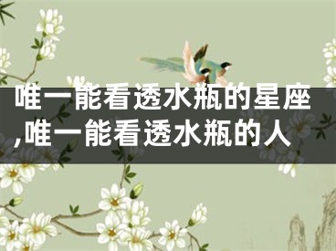 唯一能看透水瓶的星座,唯一能看透水瓶的人