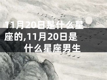 11月20日是什么星座的,11月20日是什么星座男生