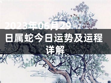2023年06月29日属蛇今日运势及运程详解
