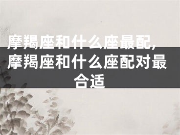 摩羯座和什么座最配,摩羯座和什么座配对最合适