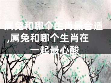 属兔和哪个生肖最合适 ,属兔和哪个生肖在一起最心酸