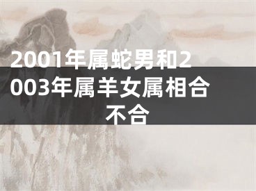 2001年属蛇男和2003年属羊女属相合不合