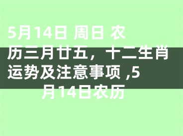 5月14日 周日 农历三月廿五，十二生肖运势及注意事项 ,5月14日农历