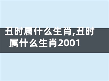 丑时属什么生肖,丑时属什么生肖2001