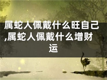 属蛇人佩戴什么旺自己,属蛇人佩戴什么增财运