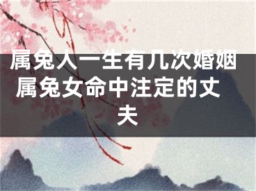 属兔人一生有几次婚姻 属兔女命中注定的丈夫
