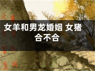 女羊和男龙婚姻 女猪合不合
