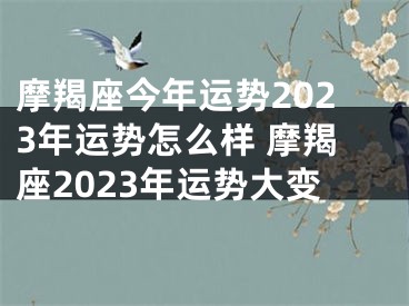 摩羯座今年运势2023年运势怎么样 摩羯座2023年运势大变