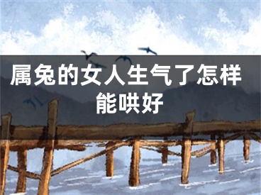 属兔的女人生气了怎样能哄好