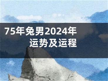 75年兔男2024年运势及运程