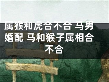 属猴和虎合不合 马男婚配 马和猴子属相合不合