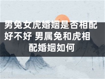 男兔女虎婚姻是否相配好不好 男属兔和虎相配婚姻如何