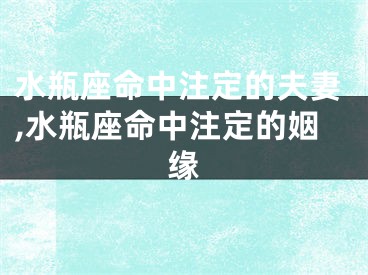 水瓶座命中注定的夫妻,水瓶座命中注定的姻缘