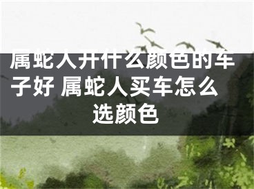 属蛇人开什么颜色的车子好 属蛇人买车怎么选颜色