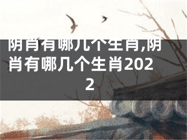 阴肖有哪几个生肖,阴肖有哪几个生肖2022