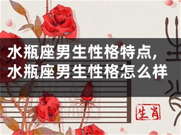 水瓶座男生性格特点,水瓶座男生性格怎么样