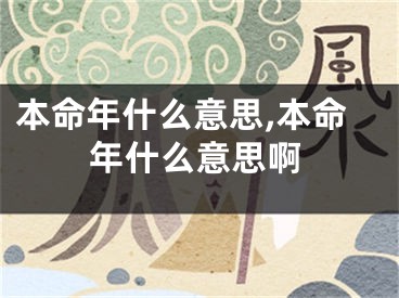 本命年什么意思,本命年什么意思啊