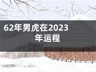 62年男虎在2023年运程