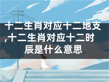 十二生肖对应十二地支,十二生肖对应十二时辰是什么意思