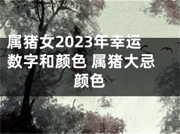 属猪女2023年幸运数字和颜色 属猪大忌颜色