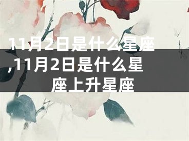 11月2日是什么星座,11月2日是什么星座上升星座