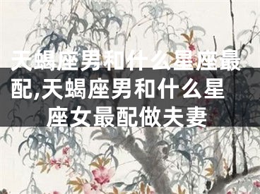 天蝎座男和什么星座最配,天蝎座男和什么星座女最配做夫妻
