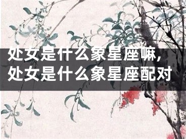 处女是什么象星座嘛,处女是什么象星座配对