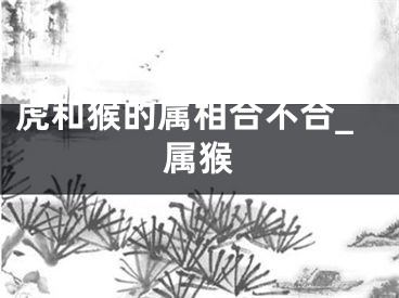 虎和猴的属相合不合_属猴