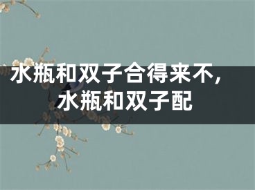 水瓶和双子合得来不,水瓶和双子配