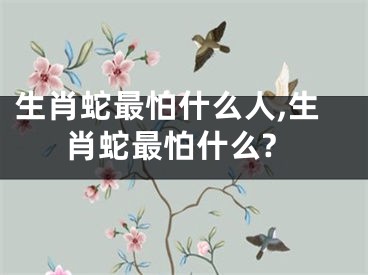 生肖蛇最怕什么人,生肖蛇最怕什么?