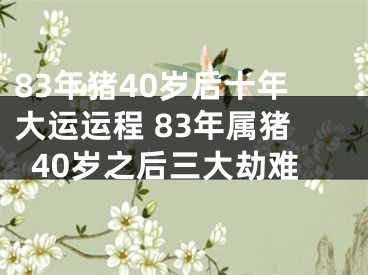 83年猪40岁后十年大运运程 83年属猪40岁之后三大劫难