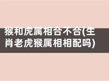 猴和虎属相合不合(生肖老虎猴属相相配吗)