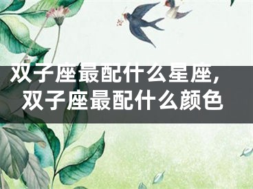 双子座最配什么星座,双子座最配什么颜色