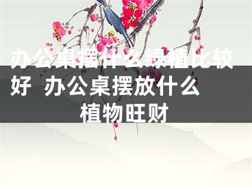 办公桌摆什么绿植比较好  办公桌摆放什么植物旺财