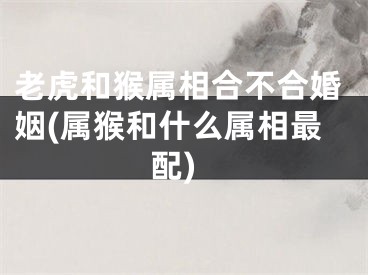 老虎和猴属相合不合婚姻(属猴和什么属相最配)