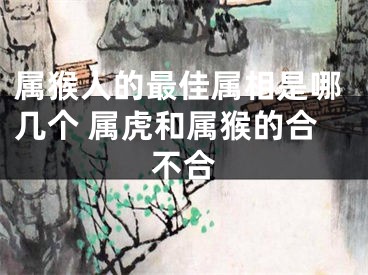 属猴人的最佳属相是哪几个 属虎和属猴的合不合