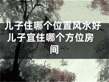 儿子住哪个位置风水好 儿子宜住哪个方位房间